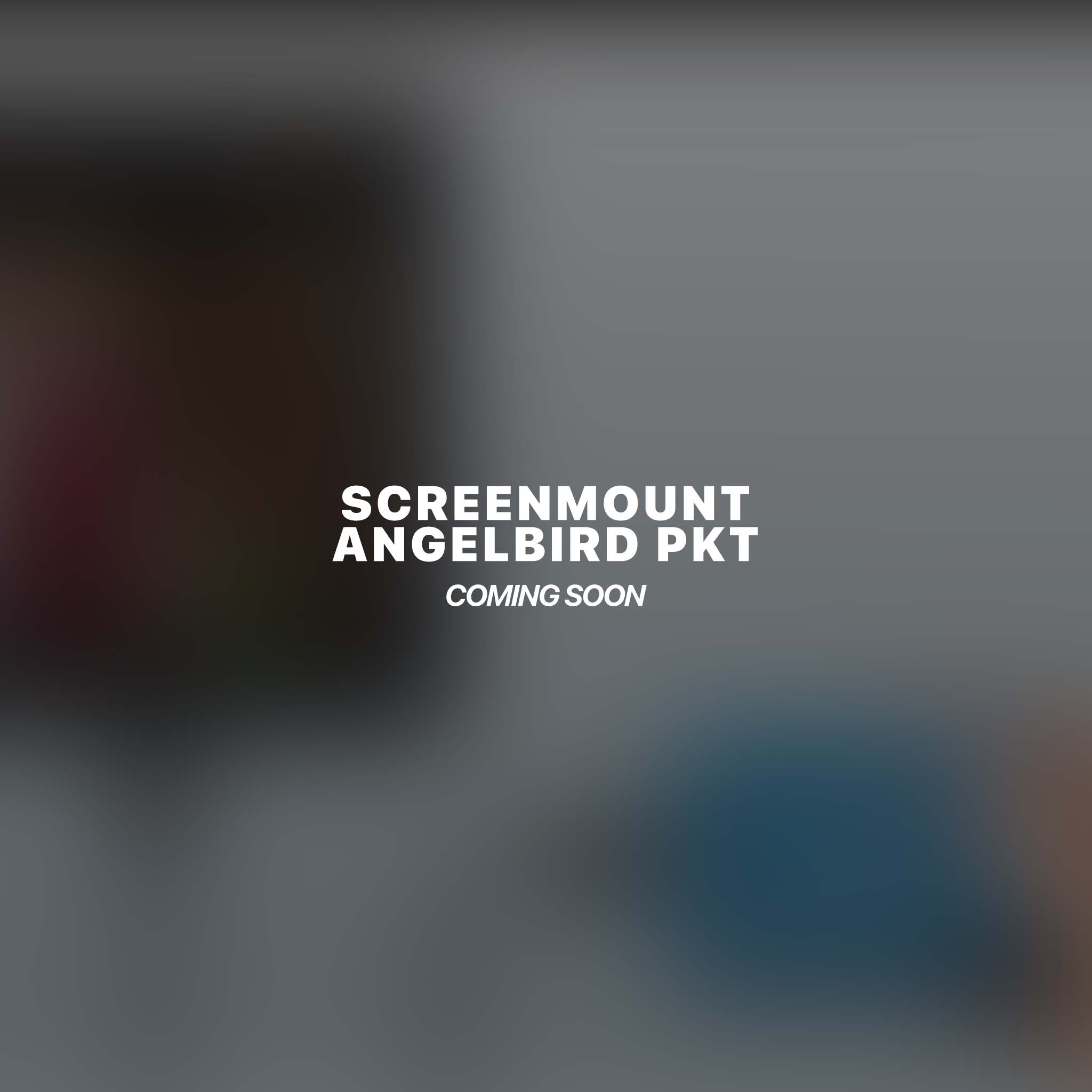 SCREENMOUNT for angelbird PKT